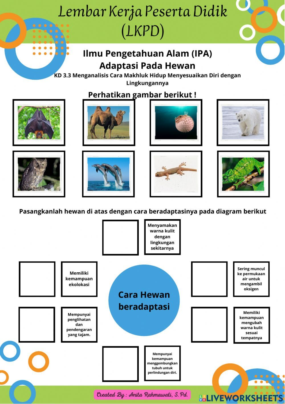 LKPD IPA Kelas 6 Adaptasi Hewan 3 3 worksheet LKPD IPA Kelas 6 Adaptasi Hewan 3 3 worksheet