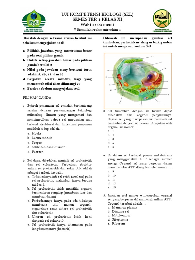 Soal Biologi Dalchaebi