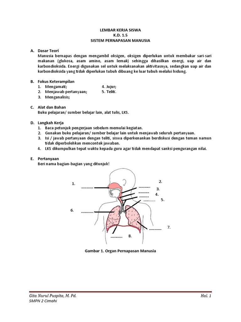 5 Contoh Soal Biologi Kelas 11 Semester 2 yang Wajib Dikuasai Sebelum Ujian